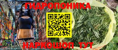 a pvp Свободный