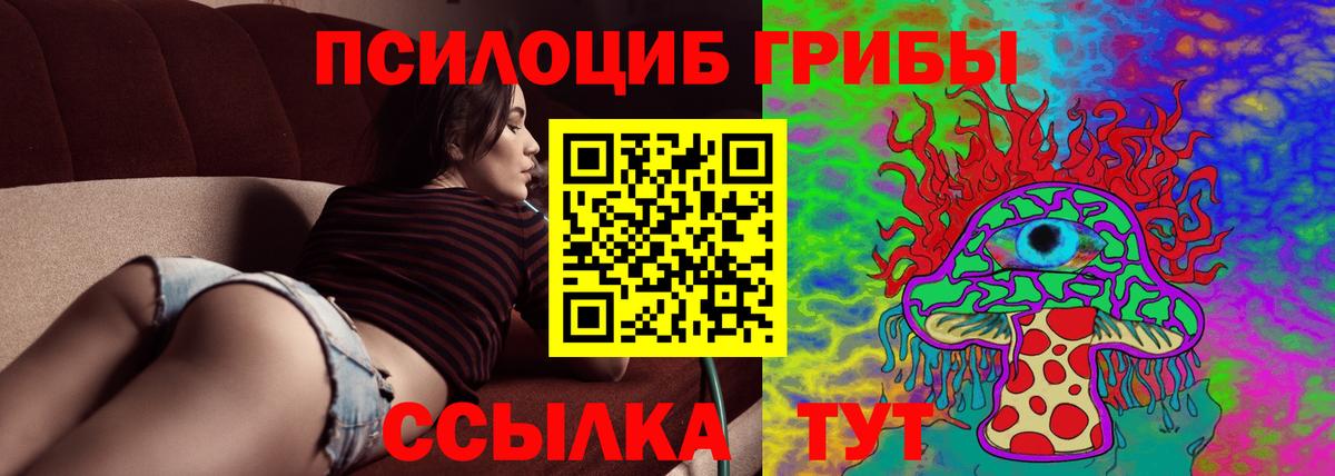 Галлюциногенные грибы Cubensis  Вход с VPN  Сергиев Посад 